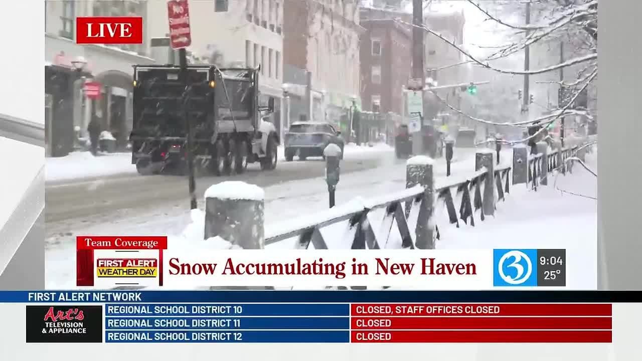 Snow accumulates in New Haven on Wednesday morning