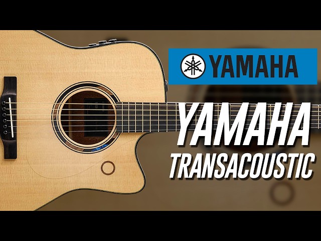 This Acoustic Guitar Has NO AMP But Still Has Reverb?! (Yamaha