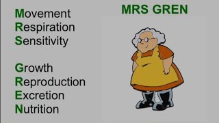 Download Lagu Mrs Gren MP3