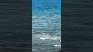 Giresunda Yüzmek Isteyen Bir Kişi Dalgalara Kapılıp Kayboldu