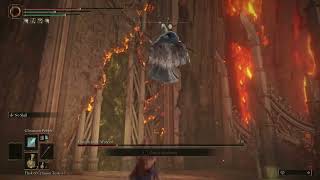 Elden Lord Cena