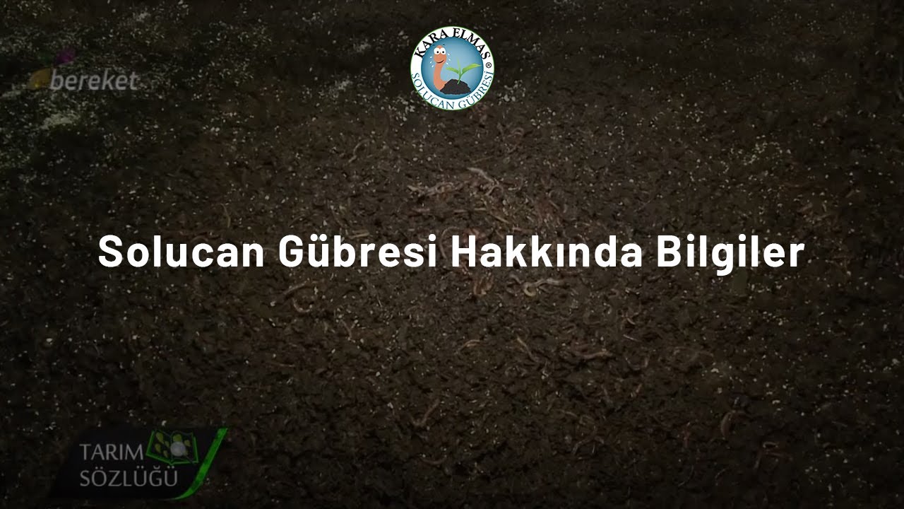 Mehmet Emin PURSA Solucan Gübresi Hakkında Bilgilerini Sizlerle Paylaşmaya Devam Ediyor