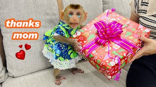 monkey Diana was happy to receive a gift from her mother for the first time