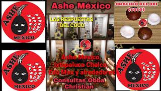 LAS RESPUESTAS DEL COCO