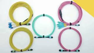 MPO LC ST E2000 SC Fiber Optic Patch Cord Connectors & Finished Patch Cords