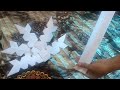 make Christmas stars easily using paper @monishaartz