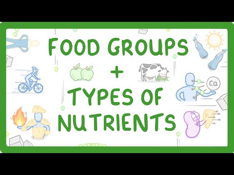 GCSE Biology - What are Nutrients? Carbohydrates, Lipids, Proteins, Vitamins & Minerals #15