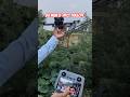 DJI Mini 5 Pro Drone Takeoff Demo || DJI Mini 5 Pro  #djidrone #dji #djimini5pro #mini5pro #shorts