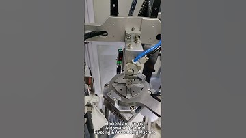 Efficient and Precise Automatic Terminal Riveting & Assembling Machine | Excellence in Automation