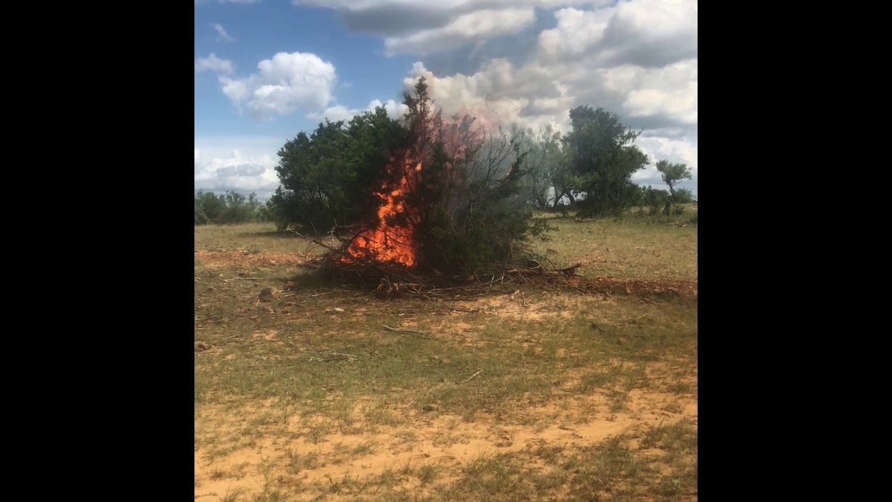 The burning bush is for real YouTube