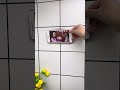 Video Image
