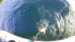 シャークハンター screenshot 5