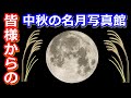 【半分ゆっくり解説】いろんな月を見よう！中秋の名月写真館
