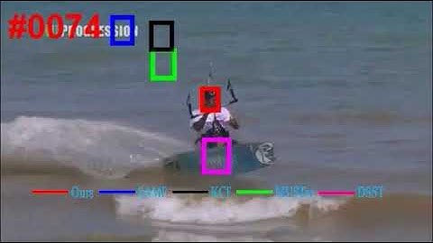 Video Demo for EDCF【BMVC