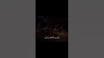 قرآن كريم بصوت جميل يريح القلب ماشاءالله#قران كريم #اكسبلور #المصحف #دويتو #ياسر_الدوسري #راحة_نفسية