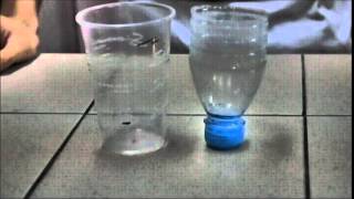 Hydrostatic Paradox