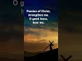 The passion of the Christ #jesuschrist #cross #biblicalevents