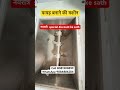 Papad banane ki machine #machine #viralvideo #trending #business #viral #ytshorts #music #shortsfeed