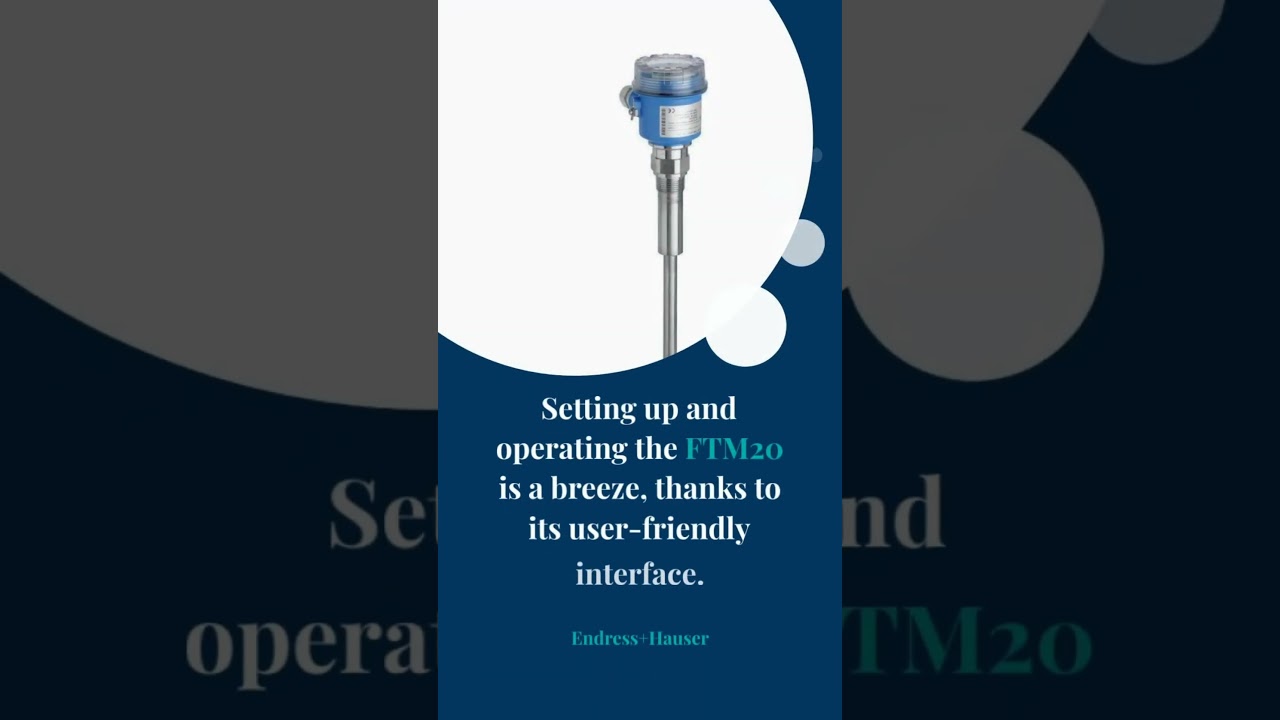 E+H Tuning Fork Level Meter FTM20