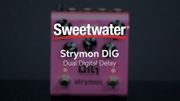 Strymon DIG Dual Digital Delay Pedal Review by Sweetwater