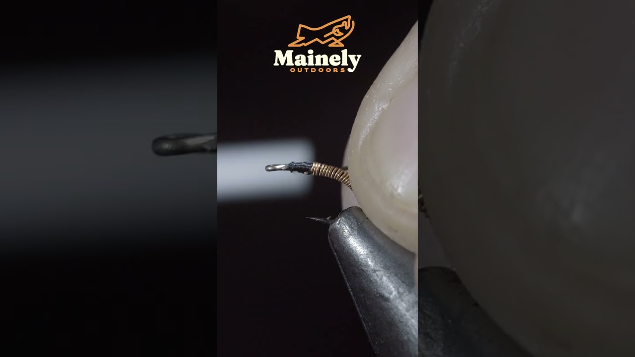 THIS Under Rated Fly is a FISH Magnet!