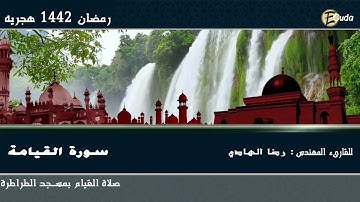 سورة القيامة للقارئ المهندس رضا الهادي
