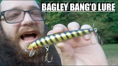 BAGLEY BANG'O LURE.... Sweetwater creek state park...