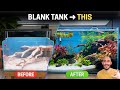 How to Build a STUNNING Island-Style Nano Aquascape (Step-by-Step)