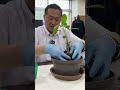 定例会見で紹介|ふるさと納税返礼品の堆肥で市長がピーマンの定植に挑戦!