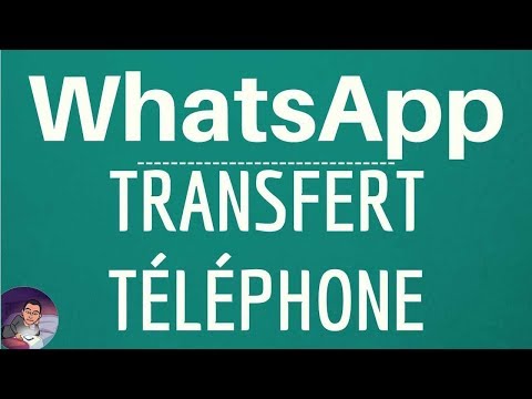 Vidéo: Est-il Possible De Restaurer La Correspondance Dans WhatsApp Après Avoir Changé De Téléphone
