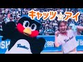 つばみ🐧が踊るキャッツアイ🐱2026/04/05