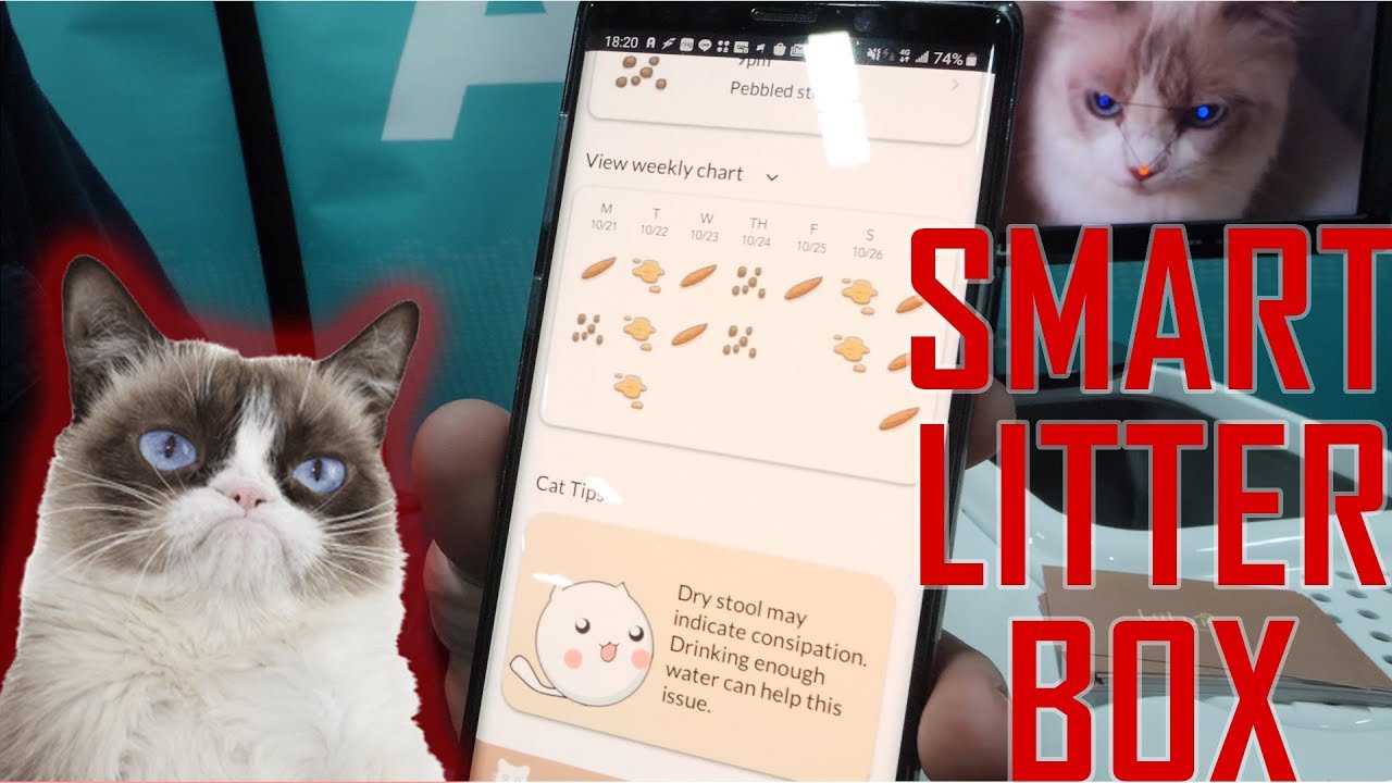 smart kitty litter