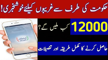 Insaf Imdad Program 2020 Govt of Punjab/How to Apply Online/Full information /Insaf Imdad App