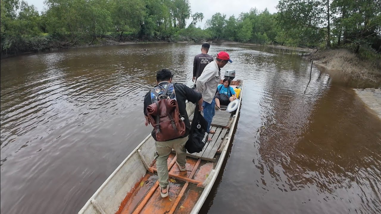 Polai Ahi Banting Ke Kuching//Singgah Ke Pasar Lingga Meli Udang Gau Ikan Terubuk