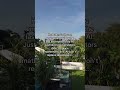 AI Will NOT Replace Developers