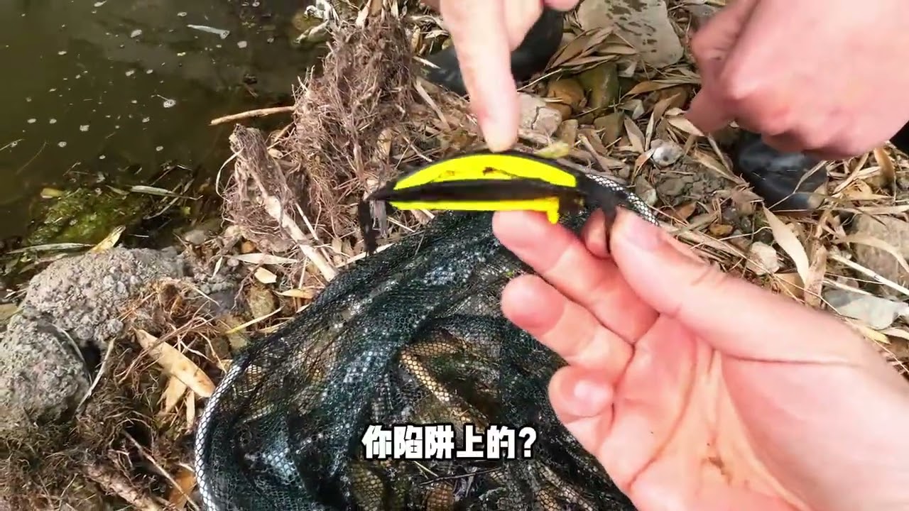 Master Fisherman's Secret: Spring Ball Technique Unveiled