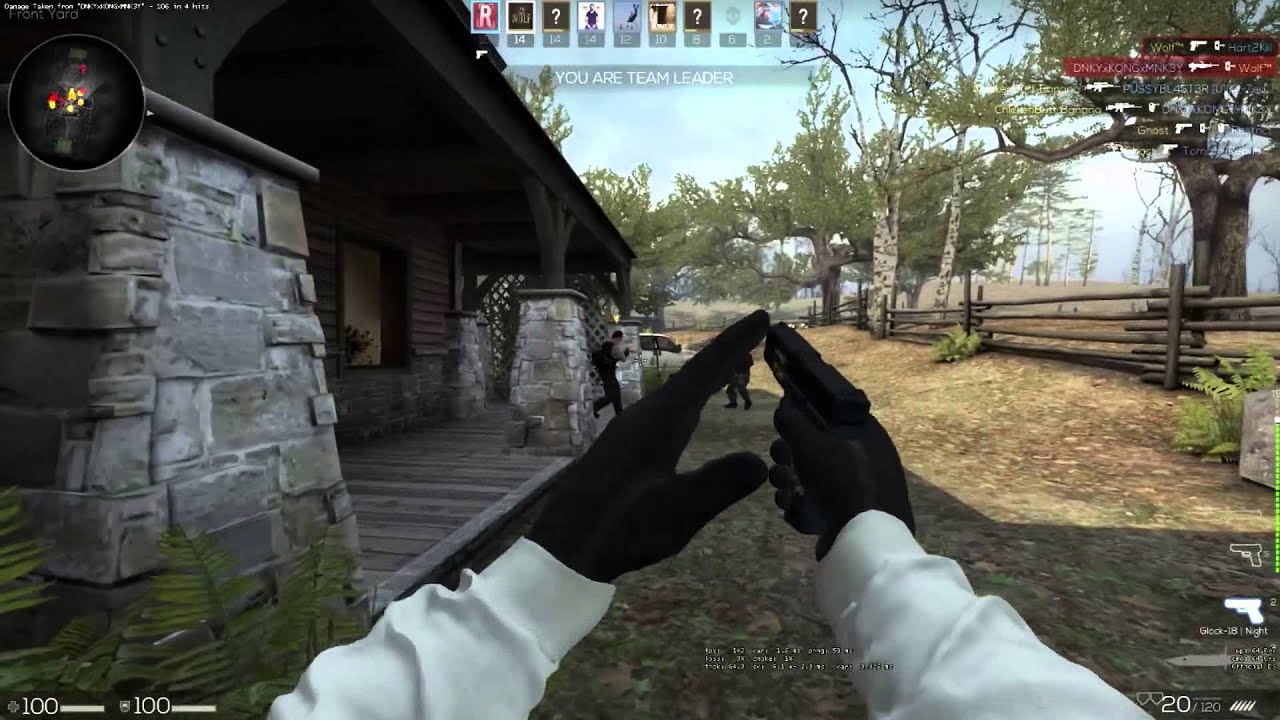 Rank 40 | Prestige | 2015 Service Medal