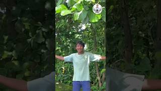 jete kari reli aasha sete delu tu barsha #Koraputiani #dance viral