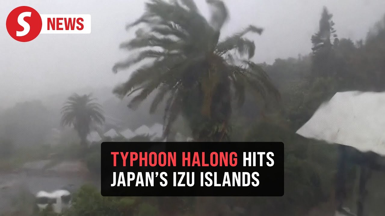 Typhoon Halong slams Izu Islands; Hachijo sees record rain
