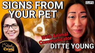 Signs Your Deceased Pet is Visiting You