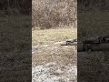 Flash Hider/Blast Shield/Suppressor