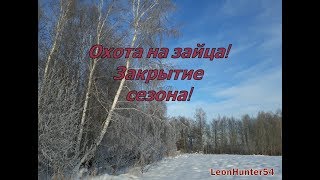 Охота на зайца.Закрытие сезона 2018-2019!!!! Охота на зайца.Закрытие сезона 2018-2019!!!!