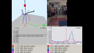 Martial arts analysis - biomechanics of punching with Simi Motion