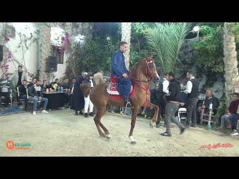 فبريكة المعادي والمعلم احمد رمضان حفلة دهشور الملكية 2023