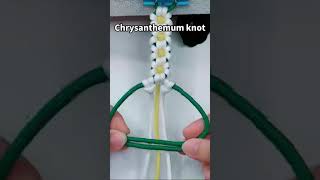 ‎Chrysanthemum knotting  ‎20221017