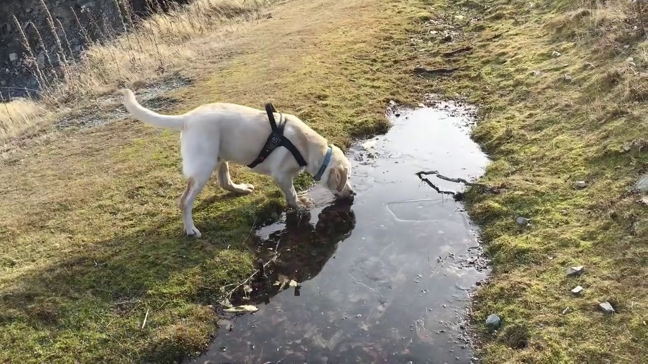 Adventure trip to St.Bathens(Central Otago)