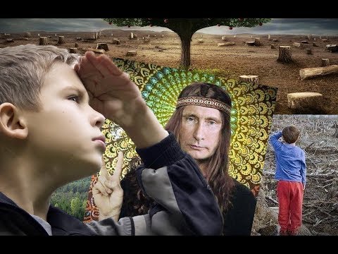Вырубка леса - Сибирь 2018