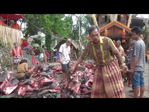 Video: Det Indonesiske Folket I Toraja Holdt En Annen Høytid Med å 