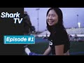 Shark tv episode 1