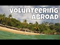 Volunteering Abroad! Travel for months in your dream spot  (WorkForAvocados #6)